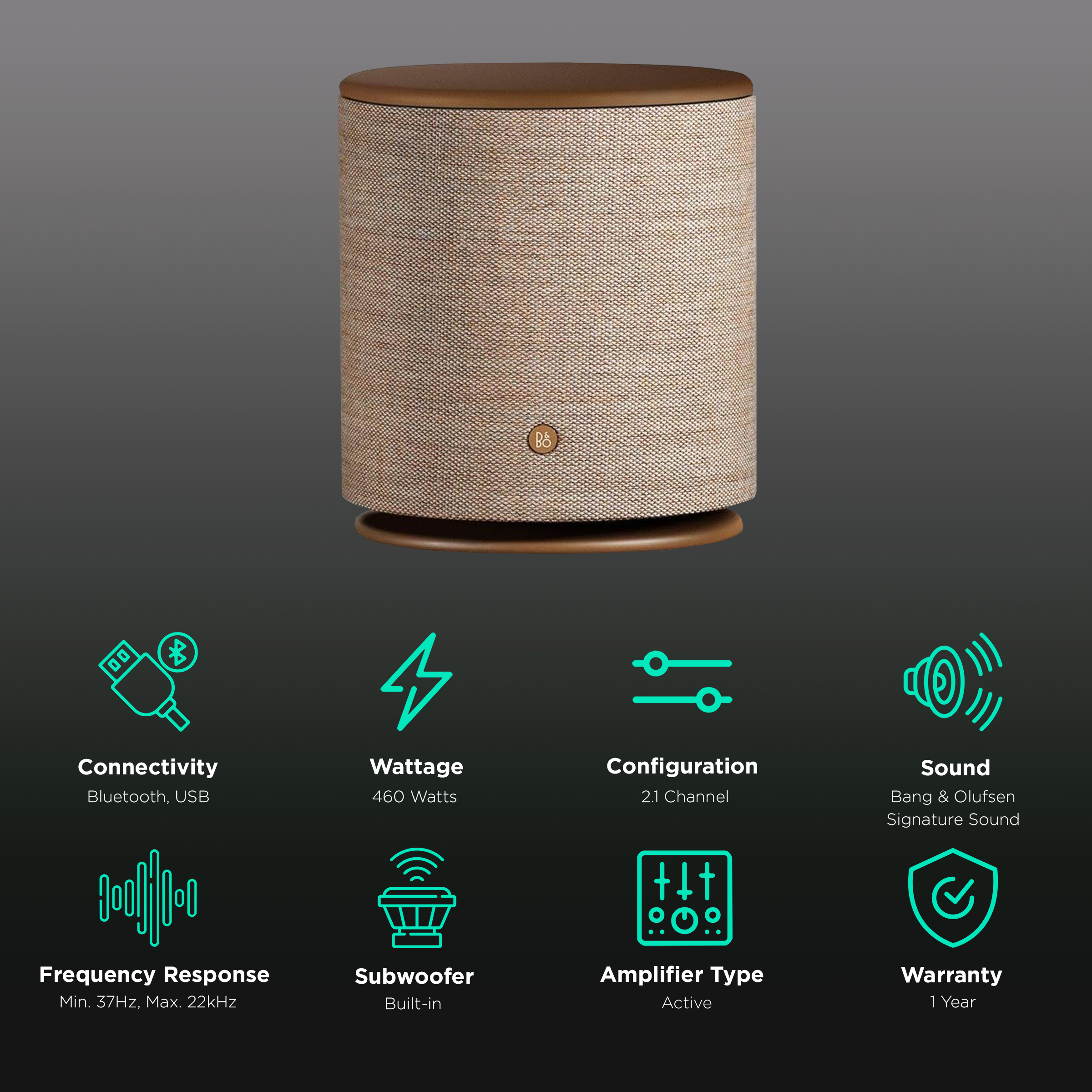 Buy Bang & Olufsen Beoplay M5 460W Portable Bluetooth